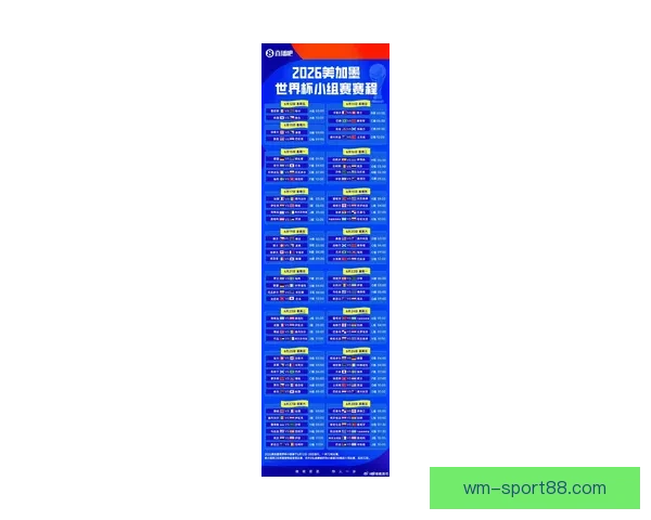2026年世界杯各队排名揭晓分析全球足球格局变化
